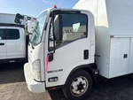 General Appearance with Paint