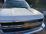 General Appearance with Pintura