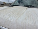 General Appearance with Paint