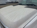 General Appearance with Pintura