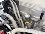 Motor with Oil Leaks