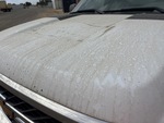 General Appearance with Pintura