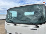 General Appearance with Vidrio de Cabina