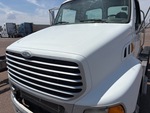 General Appearance with Paint