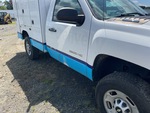 General Appearance with Paint