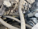 Engine with Exhaust System