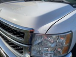 General Appearance with Paint