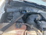 Motore with