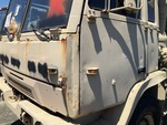 General Appearance with Paint