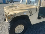 General Appearance with Paint