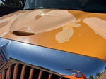 General Appearance with Pintura