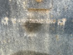 General Appearance with Frame Stamp Serial Number/VIN Photo
