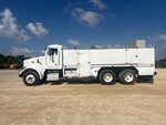 General Appearance with Paint