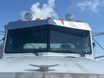 General Appearance with Glass