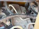 Engine with Emission Label
