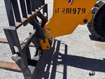 General Appearance with Paint