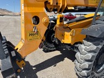 General Appearance with Paint