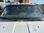 General Appearance with Glass