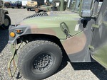 General Appearance with Paint