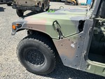 General Appearance with Paint