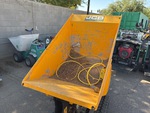 General Appearance with Paint