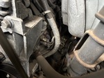 Engine with Exhaust System