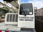 General Appearance with Paint