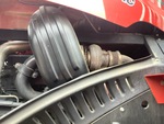 Engine with Exhaust System