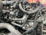 Engine with Exhaust System