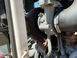 Engine with Exhaust System