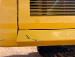 General Appearance with Paint