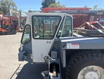 General Appearance with Paint