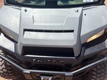 General Appearance with Paint