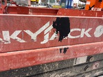 General Appearance with Paint