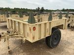 General Appearance with Paint