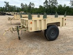 General Appearance with Paint