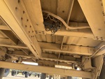 Chassis with Lights/Wiring Condition