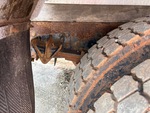 Underbody with