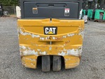 General Appearance with Paint