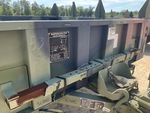 General Appearance with Paint