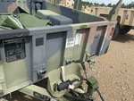 General Appearance with Paint