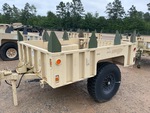 General Appearance with Paint