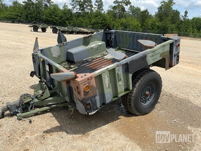 General Appearance with Paint