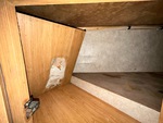 Interior with