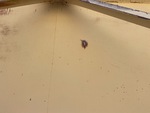 Aggregate Feeder with