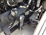 Underbody with Componentes de la Dirección