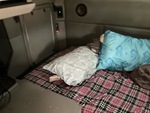 Cab with