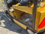 General Appearance with Paint
