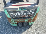 General Appearance with Paint