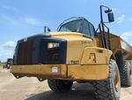 General Appearance with Paint